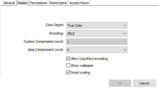 VNC_Profile_Editor_Display