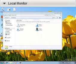 ThinVNC HTML5, Web-based VNC desktop sharing remote control presentation manager local monitor