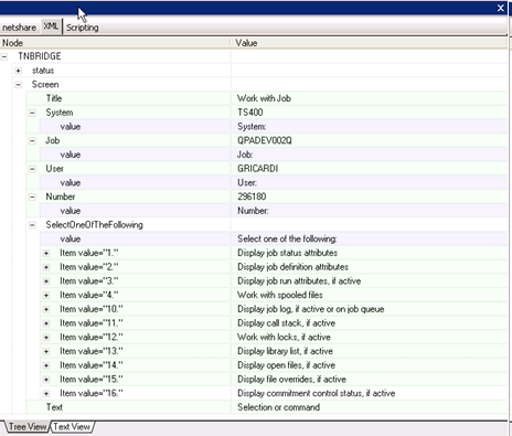 Host Integration Pack TN Bridge Vb.net C# Delphi ActiveX Development Lab Example XML Generated File