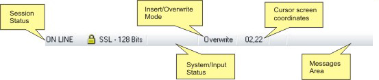 TN3270 TN5250 VT Terminal Emulation z/Scope Telnet Workspace Status Bar Session Insert Overwrite Mode System Input Cursor Screen Coordinates Messages Area